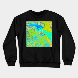 Abstract 42b Crewneck Sweatshirt